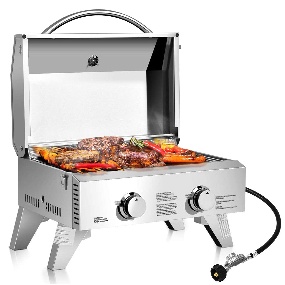 2 Burner Propane Gas Tabletop Grill in Stainless Steel