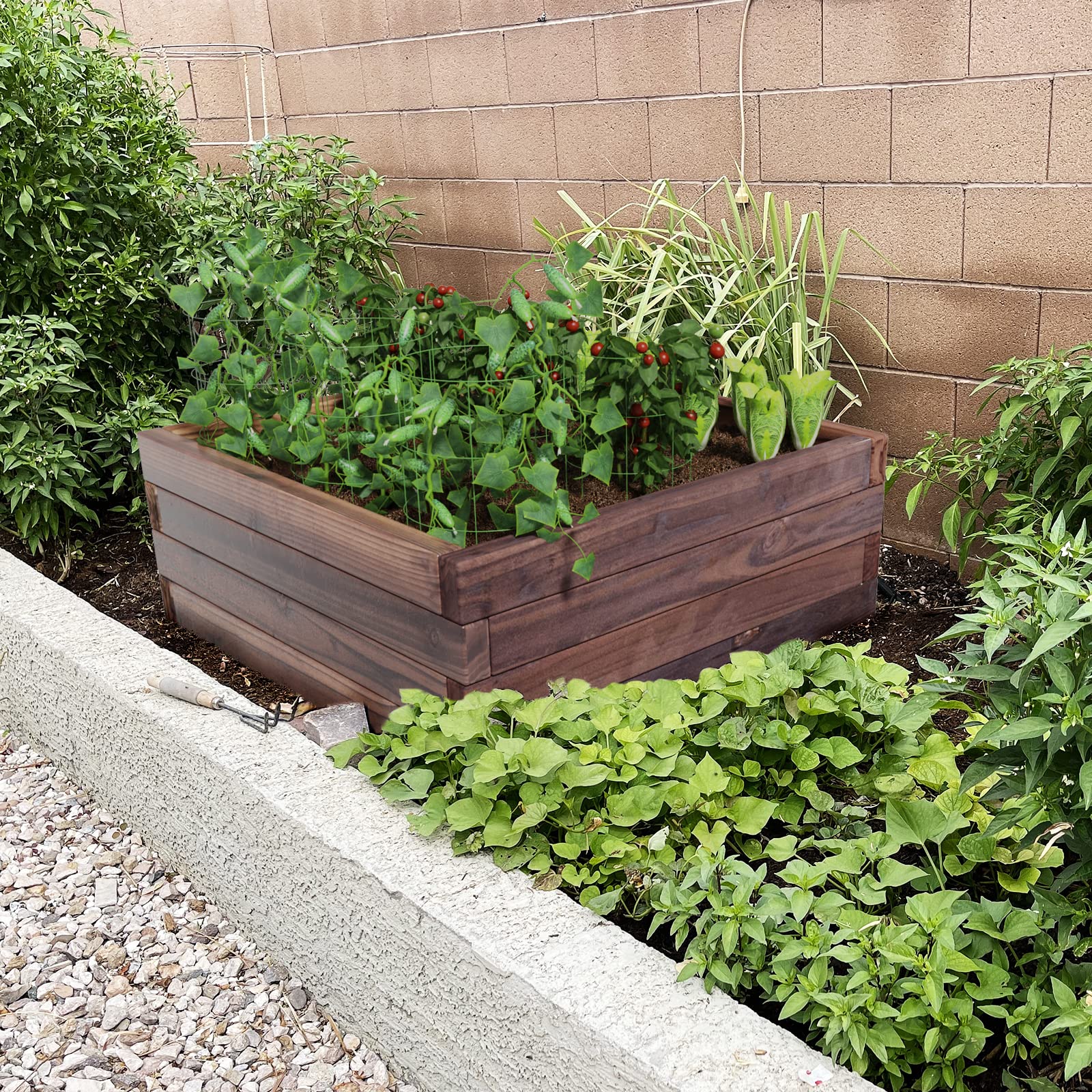 Brown Raised Garden Bed,  24'' L x 24'' W x 10''H