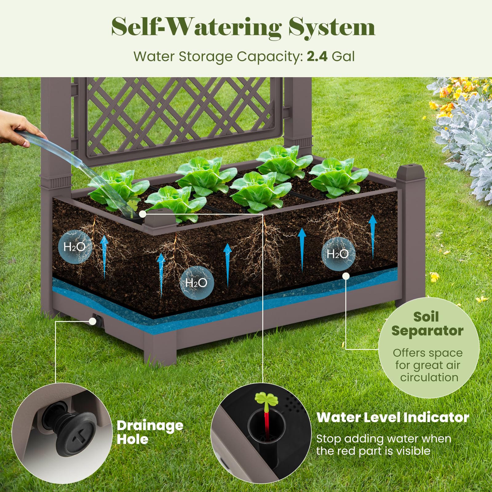 Giantex Raised Garden Bed with Trellis 59”, Self-Watering Planter Box with Water Level Indicator & Removable Space Dividers